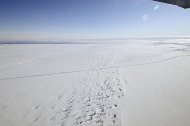 冰河消融 海平面廿年升1公分