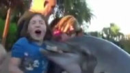 Dolphin Bites 8-Year-Old Girl at Sea World (ABC News)