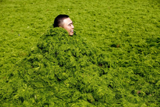 A man covers himself in algae as he plays with his friends at a seaside in Qingdao