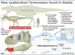 New, scaled-down Tyrannosaur found in Alaska