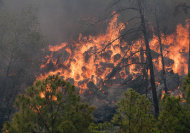 This photo provided by Texas Parks and Wildlife shows a fire burning in Bastrop State Park in Bastrop, Texas. More than 1,000 homes have been destroyed in at least 57 wildfires across rain-starved Texas, most of them in one devastating blaze near Austin that is still raging out of control, officials said Tuesday. (AP Photo/Texas Parks and Wildlife Foundation, Chase A. Fountain)