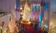 Grand Tree at the Museum of Science and Industry in Chicago. (Photo courtesy of Janoa Taylor.)