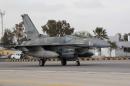 A United Arab Emirates (UAE) F-16 fighter is seen arriving at one of Jordan's air bases to support strikes against the Islamic State group, in a picture released by the official Jordanian news agency, PETRA, on February 8, 2015