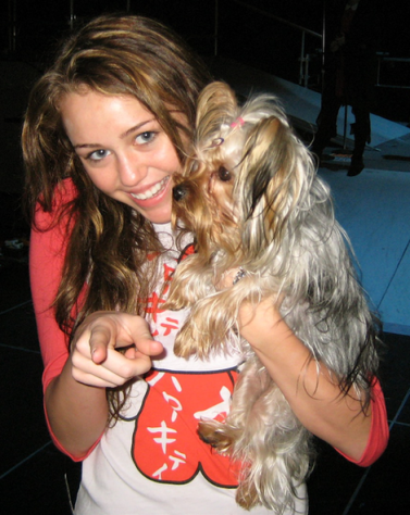 Miley Cyrus and pup Roadie Cyrus has adopted several pets from shelters