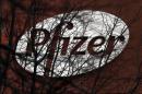 A company logo is seen through branches at a Pfizer office in Dublin