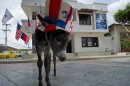 Demo (for Democrat), a donkey that Colombian Silvio Carrasquilla would like to give Barack Obama