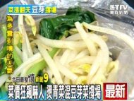 菜價狂飆嚇人 燙青菜混豆芽菜撐場