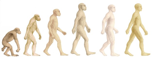 Charles Darwin Theory Of Evolution Game
