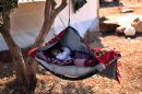 A Syrian baby cries as he lays on a swing attached to a tree at a displaced camp, in the Syrian village of Atma, near the Turkish border with Syria, Monday, Nov. 5, 2012. (AP Photo/ Khalil Hamra)