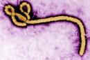 Ohio Woman Being Tested for Ebola