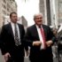 Newt, Fired Up in New York
