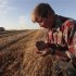 An employee inspects wheat in a field of the "Svetlolobovskoye" farm outside the village of Svetlolobovo