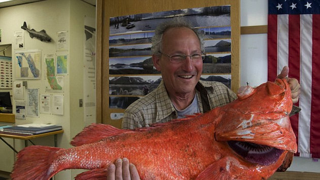 Henry Liebman holds his record-setting rockfish (AP)