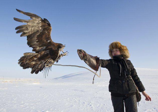 Makpal Abrazakova trains her golden eagle Akzhelke outside her home village of Aksu-Ayuly in central Kazakhstan