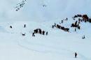 Rescue teams gather for search and rescue operations on a piste at the avalanche site after skiers, including a group on a school outing, were swept away in the Les Deux Alpes resort in The French Alps on January 13, 2016