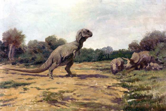 Jurassic Fossils