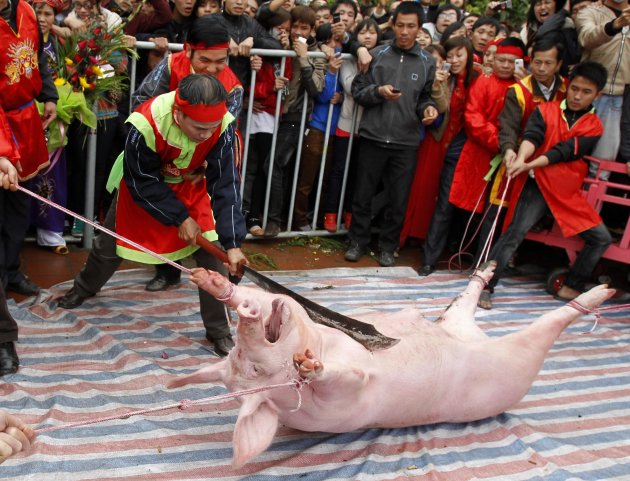A participant hacks a pig with a sword during a festival at the Nem Thuong village in Bac Ninh