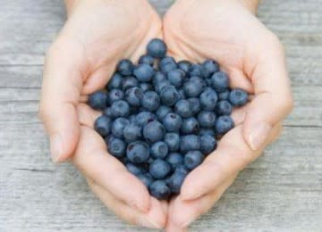 Ssst... Blueberry Dapat Menghambat Obesitas Lho!