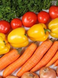Los carotenoides son unos pigmentos naturales que se encuentran en vegetales como las zanahorias, ciruelas, mangos, batatas, espinacas y cilantro, entre muchos otros.