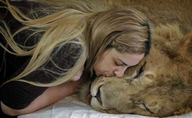 Livia Pereira e il leone  …