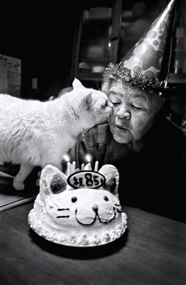 Tình bạn cảm động của bà lão 88 tuổi và mèo T_nh_b_n_c_m___ng_c_a-470b268792ac56a766e17e52f2121264
