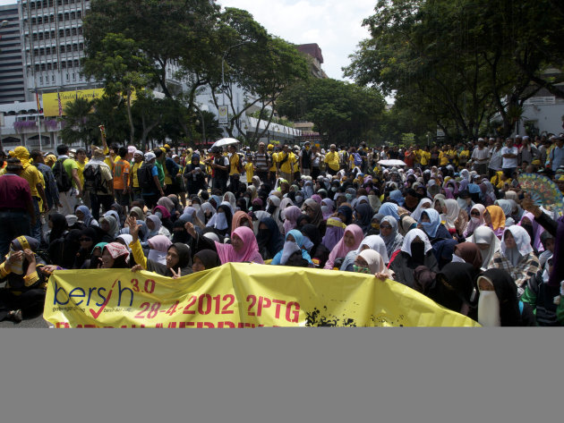 Bersih 3.0 and Anti-Lynas …