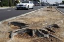 A tree stump is pictured along the median strip on Manchester Boulevard in Inglewood
