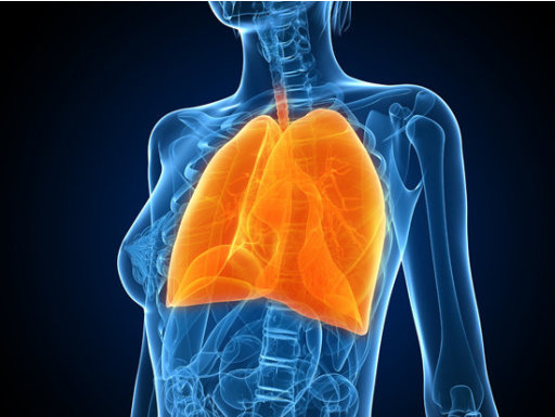 What Your Lungs Do (and 3 Ways You Can Help)