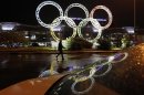 Olympic rings are seen in front of the airport of Sochi, the host city for the Sochi 2014 Winter Olympics
