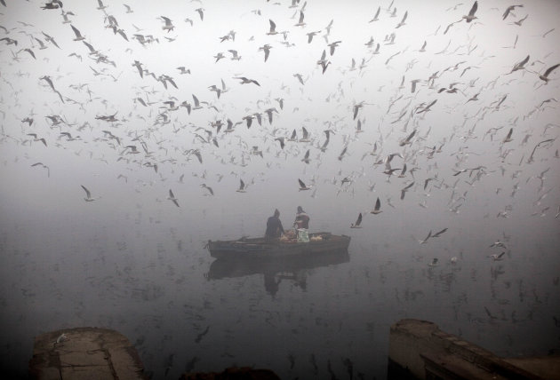 Indians feed birds from a boat on the River of Yamuna as it is enveloped by winter morning fog in New Delhi, India, Friday, Jan. 20, 2012. (AP Photo/Kevin Frayer)