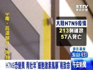 H7N9恐變異 青壯年「細胞激素風暴」易致命