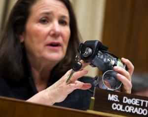 FILE - In this April 1, 2014 file photo, Rep. Diana&nbsp;&hellip;