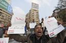 A supporter of Egypt's army chief and defense minister Sisi holds signs during a protest in Cairo