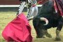 Se corrieron seis novillos de Xajay, justo de presencia y desiguales en la lidia, con genio los cuatro primeros que ninguno se empleó y quinto y sexto que mansearon fueron buenos para el torero. EFE/Arhcivo