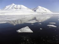 El cambio climático es una amenaza para todo, desde las plantaciones de café hasta los zorros del Ártico, e incluso un aumento moderado de las temperaturas mundiales será perjudicial para plantas y animales en ciertas regiones, dijeron expertos. En la imagen, de 1 de junio, montañas cubiertas de nieve en Isfjord, Svalbard. REUTERS/Balazs Koranyi