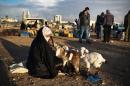 A Bedouin woman sells her lambs at a market in the southern Israeli city of Beersheva, on December 5, 2013