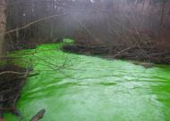 Non-toxic chemical turned B.C. river green 4038845