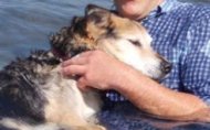 Πάτρα: Έπεσε στο λιμάνι για να σώσει τον σκύλο του