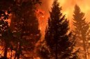 Raging Inferno Caught on Tape, Western Wildfires Spread