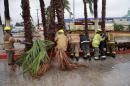 Firemen removed a palm tree felled by Hurricane Newton in Cabo San Lucas, Mexico, Tuesday, Sept. 6, 2016. Newton slammed into the twin resorts of Los Cabos on the southern tip of Mexico's Baja California peninsula Tuesday morning, knocking out power in some places as stranded tourists huddled in their hotels. (AP Photo/Eduardo Verdugo)
