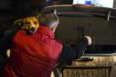 Animal activist Igor Airapetian carries a stray dog to his car brought out of Sochi by fellow activist at a rendezvous point 120 kilometers away from the Olympic area in the early morning hours of Tuesday, Feb. 11, 2014, in Tuapse, Russia. Airapetian is one of a dozen people in the emerging movement of animal activists in Sochi alarmed by reports that the city has contracted the killing of thousands of stray dogs before and during the Olympic Games. Stray dogs are a common sight on the streets of Russian cities, but with massive construction in the area the street dog population in Sochi and the Olympic park has soared. Useful as noisy, guard dogs, workers feed them to keep them nearby and protect buildings. They soon lose their value and become strays. Tonight, a few dogs will be taken on their way to a new life in Moscow. (AP Photo/David Goldman)