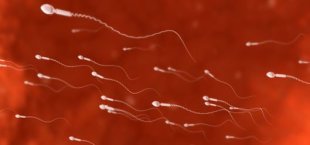 All about sperm allergy