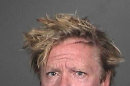 This image provided by the Los Angeles Coundy Sherrif's Department shows a booking photo of Michael Madsen. A Los Angeles County sheriff's statement says Madsen was arrested Friday afternoon March 7, 2012 at his home in Malibu, after deputies were called about a family disturbance. (AP Photo/Los Angeles County Sheriff's Department)