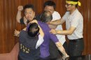 Taiwanese lawmakers exchange punches in nuclear plant debate