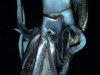 Still image taken from video shows a giant squid near Ogasawara islands