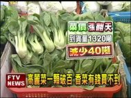 菜價創新高 青蔥一公斤220元