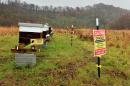 This Nov. 17, 2014 photo shows where Wade Stiltner, state Department of Agriculture apiary inspector, runs a pilot program of bee hives for honey production on a reclaimed mine in Hernshaw, W.Va. (AP Photo/Tyler Evert)