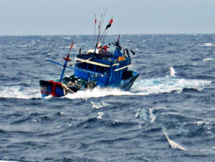 Nhiều tàu cá vẫn đang trong vùng nguy hiểm Nhi_u_t_u_c__v_n__ang-b15b44c136bad1daed42da325f6e601c
