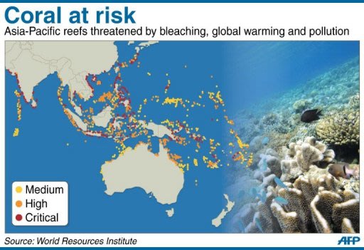 Graphic on coral reefs at risk in the Asia-Pacific region