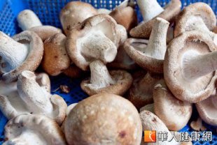 香菇屬於食用菌的一種，熱量低卻含有豐富膳食纖維和多種營養素，可幫助養顏美容、促進腸胃蠕動、調節新陳代謝。（攝影／黃志文）